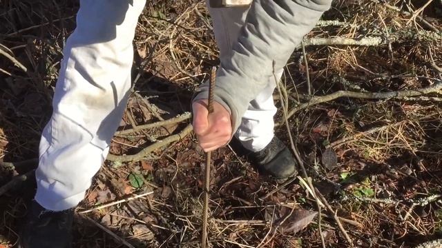 Как найти родник