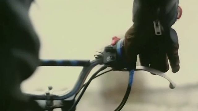 Альпийские тетерева
