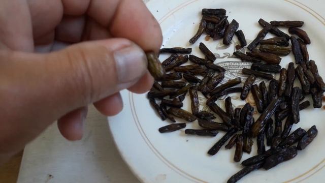 жареный папоротник смотреть онлайн