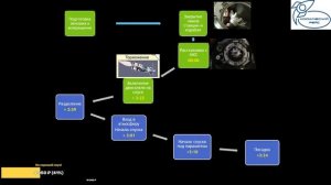 Прямая трансляция.Возвращение космического корабля ТПК "Союз МС-15". Космический рейс