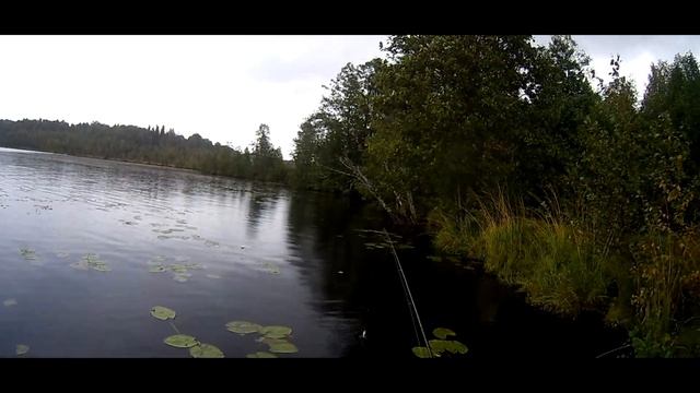 Нелёгкая прогулка на лесное озеро. смотреть онлайн