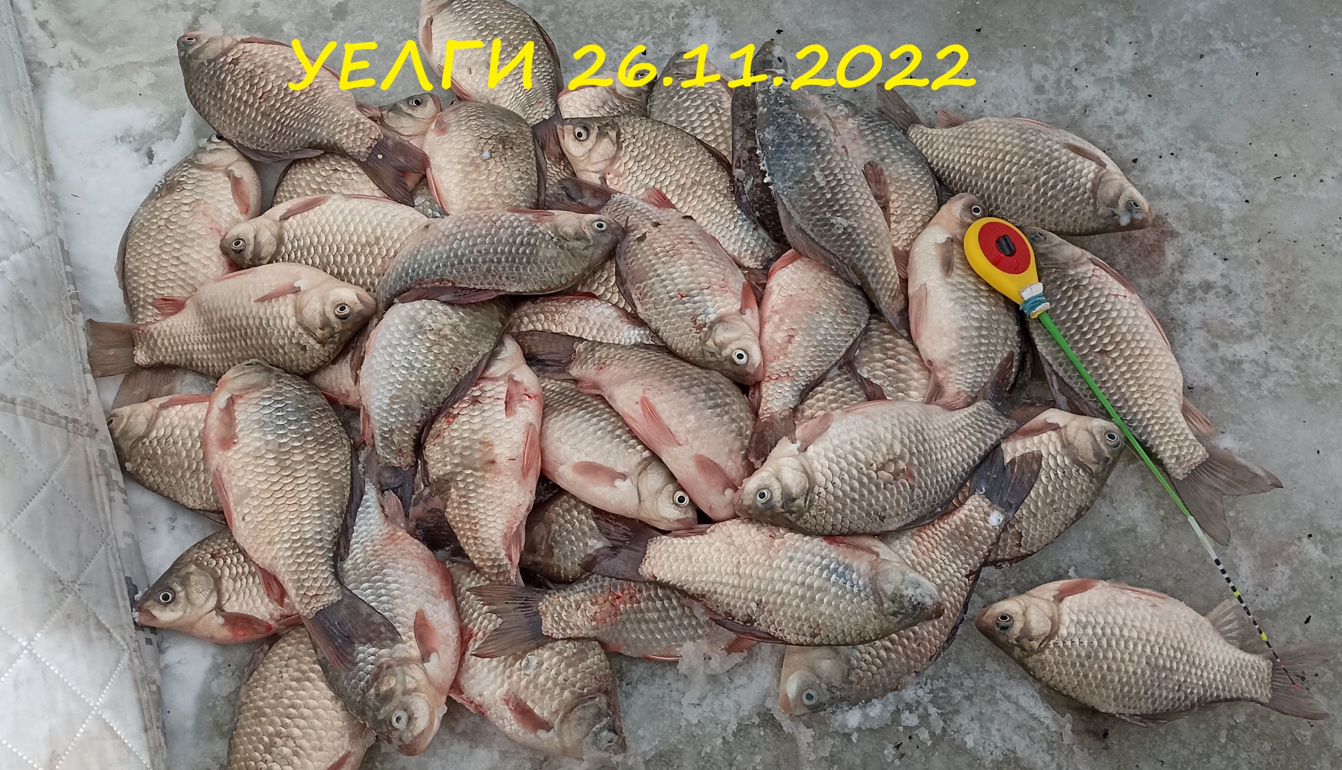 Уелги рыбалка 2022