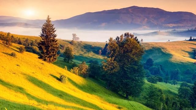 Позитивные вибрации для очищения дома