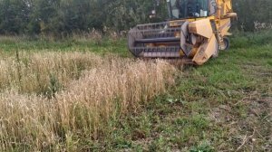 Первый выезд зерноуборочного комбайна Terrion 2010 на опытное поле ЯРОСЛАВСКОЙ ГСХА, уборка.