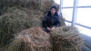 Бизнес на сене. Как нас обманывают при продаже сена. Жизнь в деревне.