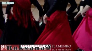 Flamenco - Roksana