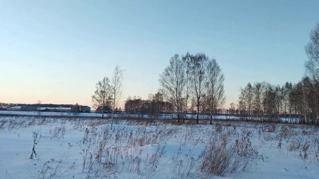 Лес. Природа. Релаксация. смотреть онлайн