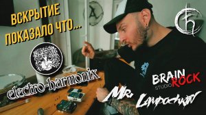 ВСКРЫВАЕМ ELECTRO-HARMONIX (EHX) | 3 ЧАСТЬ | ОЧУМЕЛЫЕ РУЧКИ