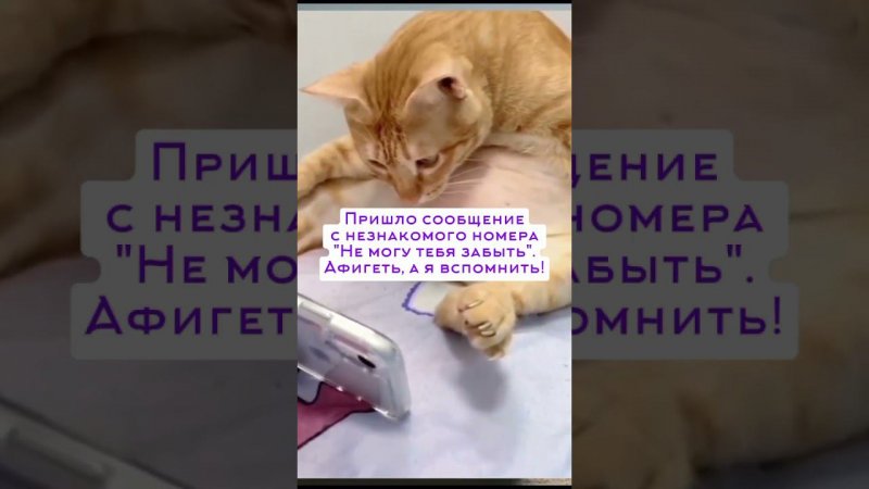 19 июля 2024 г.
