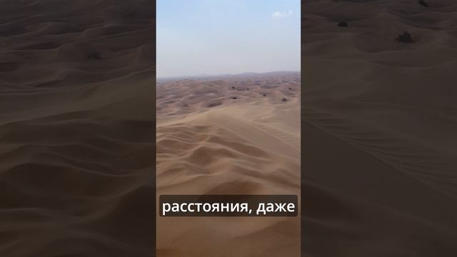 Песчаная буря и экосистемы