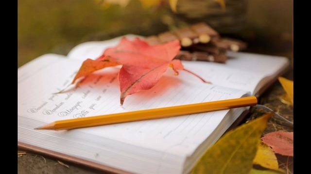 petal_20231016_225906.mp4 смотреть онлайн