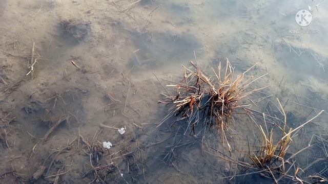 Открытие сезона Горячих источников в Чундже. Зона отдыха Байтерек.