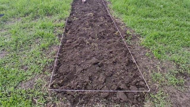 В скопал грядку посадил огурцы!!! смотреть онлайн