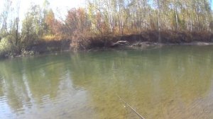 Ловля хариуса спиннингом. Рыбалка на р.Тайдон