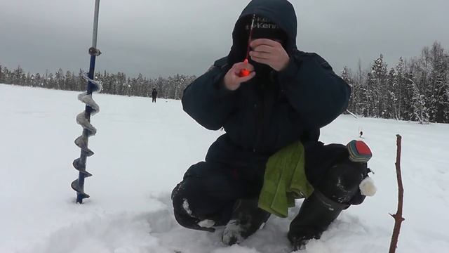 РВУТ СНАСТИ. ЩУКИ - ТРОФЕИ и ОКУНИ - ЭФИОПЫ! Озеро МЕЧТЫ - Болен Рыбалкой №622 смотреть онлайн