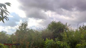 Крым таймлапс облака бегущие над садом. Симферополь 🍎