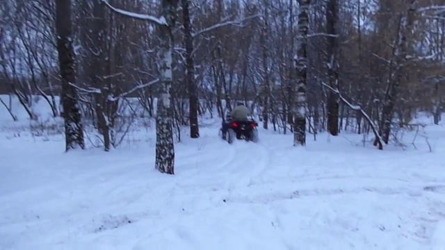 Электроквадроцикл 4х4 в зимнем лесу смотреть онлайн