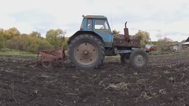Осенняя КУЛЬТИВАЦИЯ на МТЗ-80
