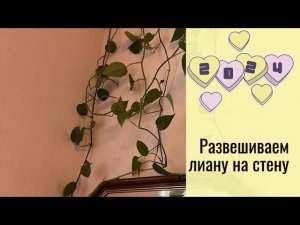 Вешаем лиану на стену