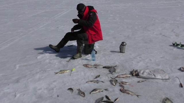 Рыбалка. Красноярское водохранилище, залив "Езагаш" смотреть онлайн