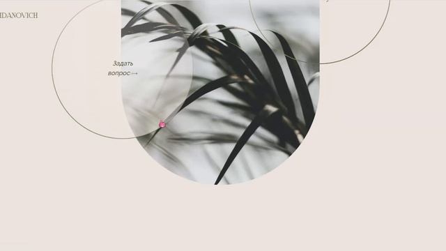 Сайт-портфолио для графического и бренд дизайнера Аннеты Жданович смотреть онлайн