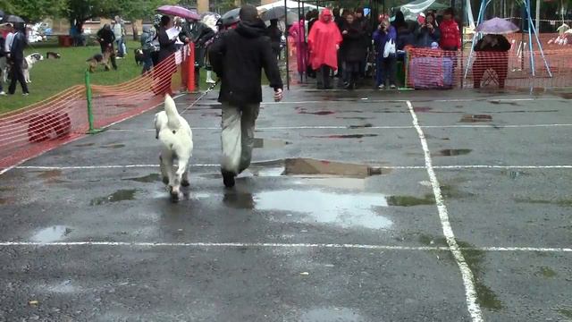 MVI 0130 смотреть онлайн