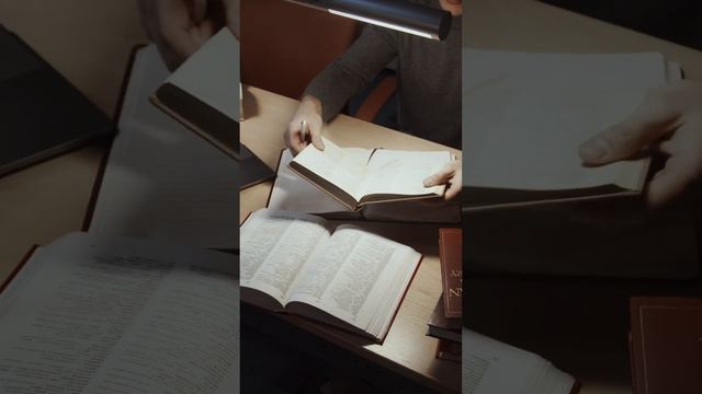 Serie. Conoce tu Contrato Colectivo de Trabajo. SUTUACM смотреть онлайн