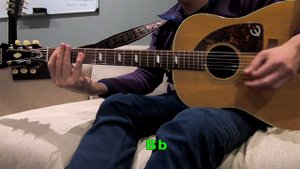 Paul McCartney - Bluebird (Live) - Guitar Cover with chords