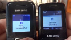 incoming call Samsung E1050 to Samsung B130