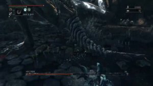 Bloodborne™:vs amygdala coop