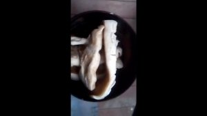 Печь для казана и коптильня из баллона от фреона 2