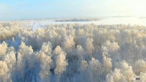 Олег Капралов - Я опускаюсь на колени/ Петлюра