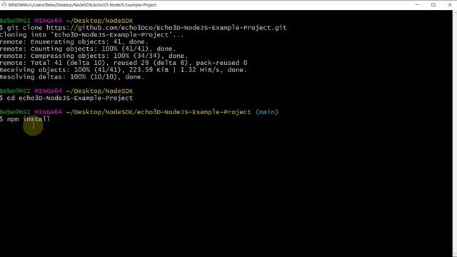 echo3D NodeJS SDK Demo Project Walkthrough