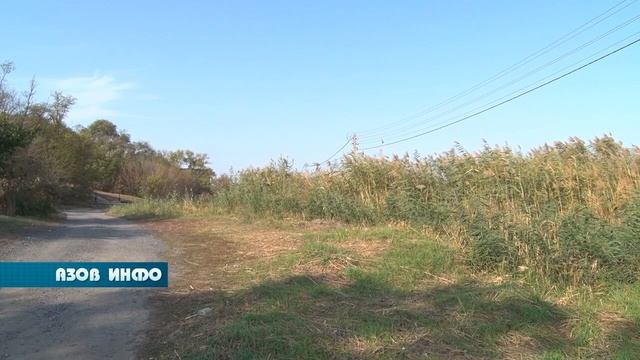 Заросли камыша на Береговой смотреть онлайн