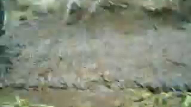 Лфйт 10 мая 2008г. смотреть онлайн