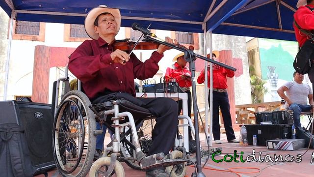 🎻🤠⭐️ Regresó Leoncio El Tremendo Violinista De Xilitla A Tocar En Los Domingos De Huapango смотреть онлайн