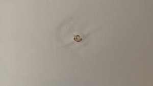 Приемка квартиры в ЖК Аквилон Парк с предчистовой отделкой WHITEBOX от Застройщика Аквилон