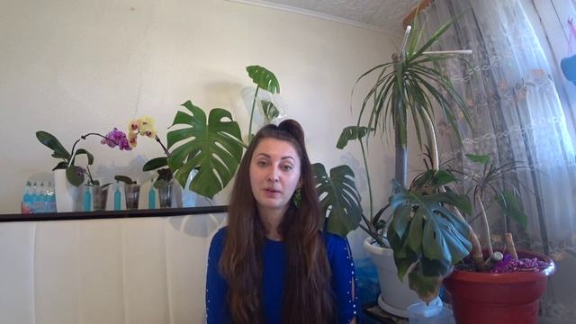 Ура, РОЗЫГРЫШ к 8 марта! Разыгрываю мини-орхидей и японское удобрения для орхидей смотреть онлайн