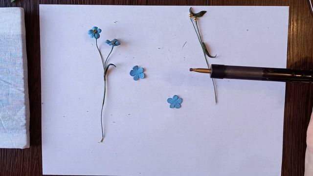 Мастер класс цветы из кожи. Незабудки из кожи своими руками. смотреть онлайн