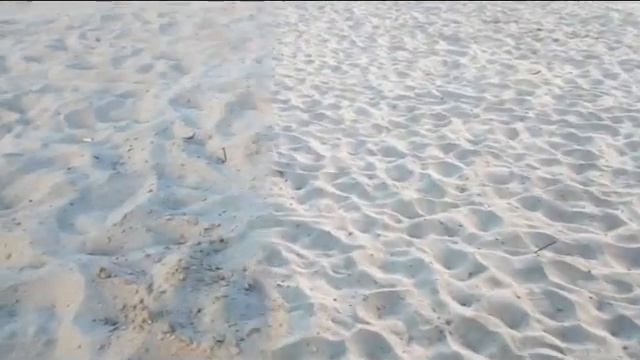 Коп на пляже . Чистим весь пляж . смотреть онлайн