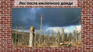 Кислотные дожди | Общая экология