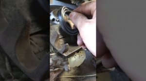 Замена пыльника тормозного цилиндра Пежо боксер.