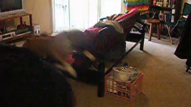 Our baby greyhound смотреть онлайн