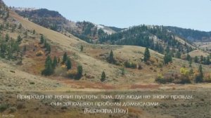 Музыка лечит сердце и сосуды. Успокаивающая музыка восстанавливает нервную систему. (часть 2)