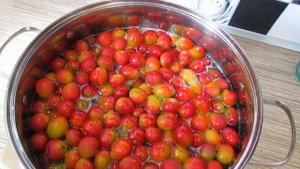 "МЕДОВОЕ" варенье из АЛЫЧИ с КОСТОЧКОЙ на ЗИМУ