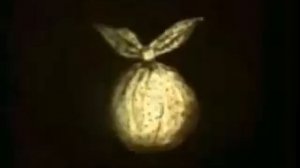 Йожик в кумаре