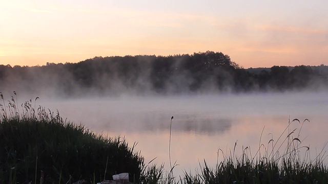 Рассвет (201905_20) смотреть онлайн