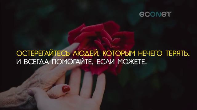 СЧАСТЬЕ  Гениальные советы 80 летнего человека