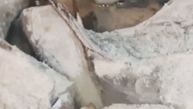 ?Вкуснющая рыбка, #Сайда #рыба #жаримрыбу #готовимдома #полезныйзавтрак ?