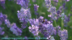 ?ЖИЗНЬ ПОСЛЕ РАЗВОДА? Истории из жизни ? Жизненные истории ? Аудио рассказы.